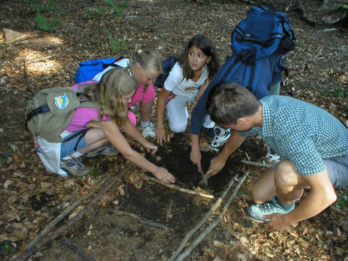 Kinder erabeiten mit Bodenleiter den Bodenaufbau